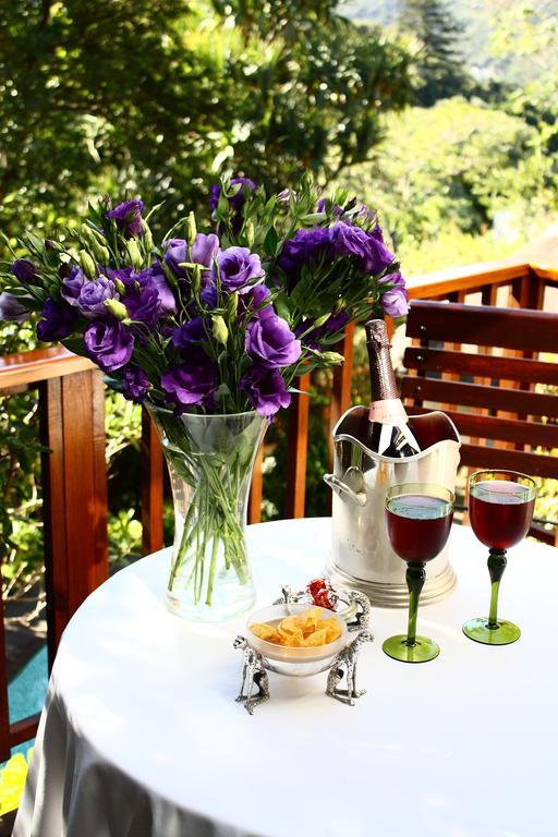 イースト・ロンドン Loerie Hide Bed & Breakfast エクステリア 写真
